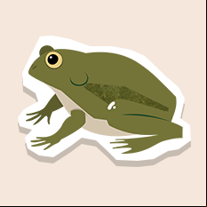 waterfrog